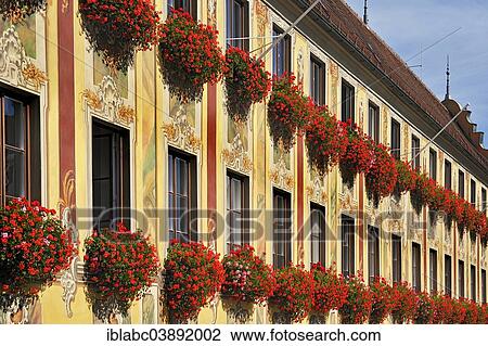 "Facade of the Steuerhaus building, with geraniums, Memmingen, Allgau, Bavaria, Germany, Europe" View Large Photo Image Stock Image - "Facade of the Steuerhaus building, with geraniums, Memmingen, Allgau, Bavaria, Germany, Europe". Fotosearch