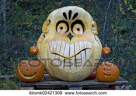 Face carved into a large pumpkin, Baden-Wuerttemberg, Germany, Europe View Large Photo Image Stock Photo - Face carved into a large pumpkin, Baden-Wuerttemberg, Germany, Europe. Fotosearch