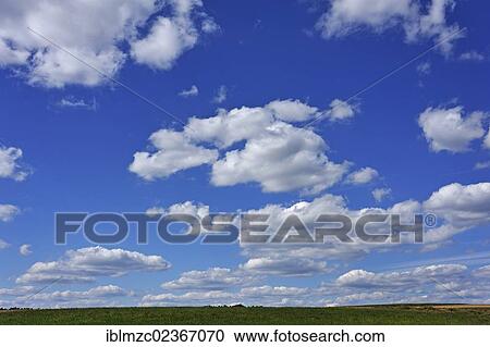 Fair-weather clouds (Cumulus) over a meadow View Large Photo Image Stock Image - Fair-weather clouds (Cumulus) over a meadow. Fotosearch