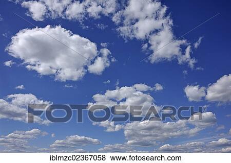 Fair-weather clouds (Cumulus) View Large Photo Image Stock Photo - Fair-weather clouds (Cumulus). Fotosearch