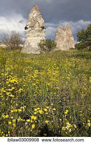"Fairy Chimneys made of tufa, Goreme National Park, Cappadocia, Nevsehir Province, Central Anatolia Region, Turkey, Asia" View Large Photo Image Stock Photo - "Fairy Chimneys made of tufa, Goreme National Park, Cappadocia, Nevsehir Province, Central Anatolia Region, Turkey, Asia". Fotosearch