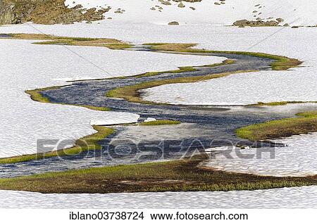 "Falbesoner Bach stream, Hohes Moos upland moor, Stubai Alps, Tyrol, Austria, Europe" View Large Photo Image Picture - "Falbesoner Bach stream, Hohes Moos upland moor, Stubai Alps, Tyrol, Austria, Europe". Fotosearch