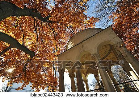 Stock Image - "Family grave and Beech trees with autumn leaves, Ostfriedhof cemetery, Munich, Bavaria, Germany, Europe". Fotosearch