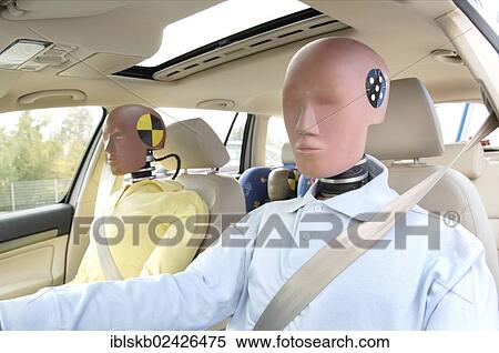 Family of crash test dummies in a car View Large Photo Image Stock Photography - Family of crash test dummies in a car. Fotosearch