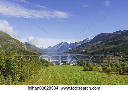"Farm and meadow in Skjabergbukta Bay, Lakselvbukta, Troms, Norway, Europe" View Large Photo Image Picture - "Farm and meadow in Skjabergbukta Bay, Lakselvbukta, Troms, Norway, Europe". Fotosearch