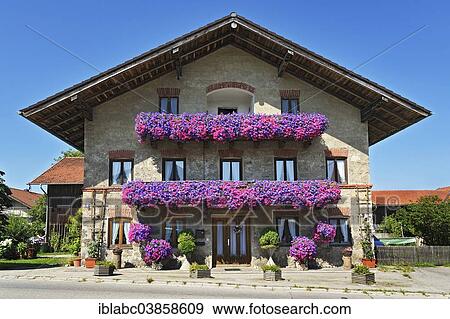 "Farm, balconies with geraniums, Schlacht, Upper Bavaria, Bavaria, Germany, Europe" View Large Photo Image Stock Photo - "Farm, balconies with geraniums, Schlacht, Upper Bavaria, Bavaria, Germany, Europe". Fotosearch