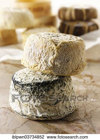 Farm goat cheese from Normandy View Large Photo Image Stock Image - Farm goat cheese from Normandy. Fotosearch