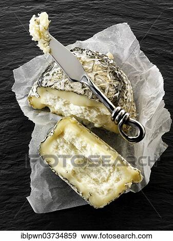 Farm goat cheese from Normandy View Large Photo Image Stock Photo - Farm goat cheese from Normandy. Fotosearch