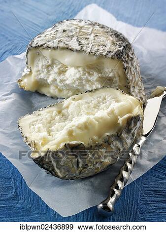 "Farm goats cheese from Normandy, France, Europe" View Large Photo Image Stock Photo - "Farm goats cheese from Normandy, France, Europe". Fotosearch