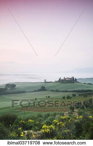 "Farm house in the misty landscape, Val d'Orcia region, Province of Siena, Tuscany, Italy, Europe" View Large Photo Image Stock Photo - "Farm house in the misty landscape, Val d'Orcia region, Province of Siena, Tuscany, Italy, Europe". Fotosearch