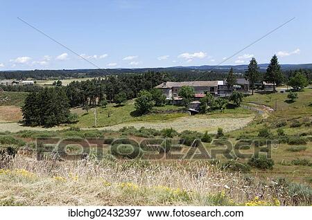 "Farm near Saint Denis en Margeride, Gevaudan, Margeride, Lozere, Languedoc-Roussillon, France, Europe" View Large Photo Image Stock Photo - "Farm near Saint Denis en Margeride, Gevaudan, Margeride, Lozere, Languedoc-Roussillon, France, Europe". Fotosearch