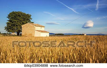 "Farm, Valensole, Departement Alpes-de-Haute-Provence, Provence-Alpes-Cote d'Â’Azur, France, Europe" View Large Photo Image Stock Photo - "Farm, Valensole, Departement Alpes-de-Haute-Provence, Provence-Alpes-Cote d'Â’Azur, France, Europe". Fotosearch