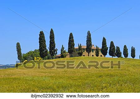 "Farm with cypress trees, fields and farmhouses, Pienza, Val d'Orcia, Orcia Valley, UNESCO World Heritage Site, Siena Province, Tuscany, Italy, Europe" View Large Photo Image Stock Image - "Farm with cypress trees, fields and farmhouses, Pienza, Val d'Orcia, Orcia Valley, UNESCO World Heritage Site, Siena Province, Tuscany, Italy, Europe". Fotosearch