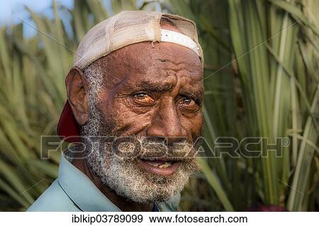 Stock Photo - "Farm worker on a field of sugar cane, Sigatoka, Viti Levu, Fiji, Oceania". Fotosearch