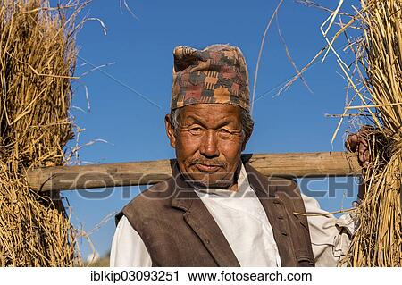 "Farmer heading home, Bungmati, Kathmandu Valley, Nepal, Asia" View Large Photo Image Stock Image - "Farmer heading home, Bungmati, Kathmandu Valley, Nepal, Asia". Fotosearch
