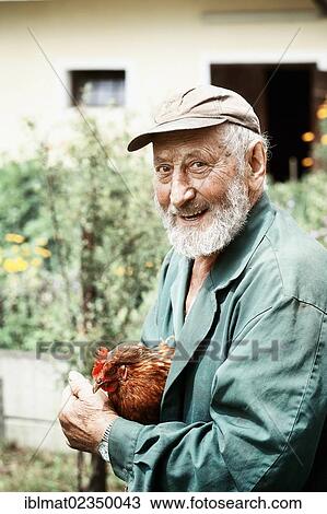 Stock Image - "Farmer holding a chicken (Gallus gallus domesticus), Austria, Europe". Fotosearch