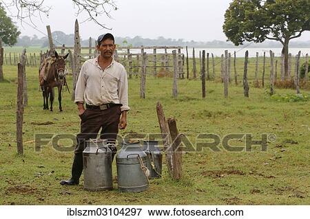 "Farmer with milk churns, Chanero Rio, Provinz Jonuta, Tabasco, Mexico, North America" View Large Photo Image Stock Photo - "Farmer with milk churns, Chanero Rio, Provinz Jonuta, Tabasco, Mexico, North America". Fotosearch