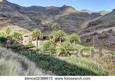 "Farmhouse in the mountains near El Pie de la Cuesta, Gran Canaria, Canary Islands, Spain, Europe, PublicGround, Europe" View Large Photo Image Stock Image - "Farmhouse in the mountains near El Pie de la Cuesta, Gran Canaria, Canary Islands, Spain, Europe, PublicGround, Europe". Fotosearch