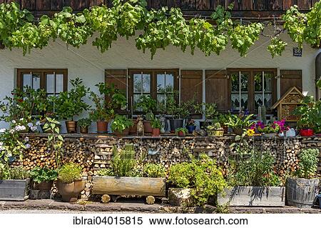 "Farmhouse with flowers and vines, vineyard, Seeon, Seebruck, Chiemgau, Upper Bavaria, Bavaria, Germany, Europe" View Large Photo Image Stock Photography - "Farmhouse with flowers and vines, vineyard, Seeon, Seebruck, Chiemgau, Upper Bavaria, Bavaria, Germany, Europe". Fotosearch