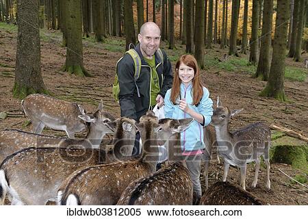"Father and daughter feeding deer, Poing Wildlife Park, Upper Bavaria, Bavaria, Germany, Europe" View Large Photo Image Stock Photography - "Father and daughter feeding deer, Poing Wildlife Park, Upper Bavaria, Bavaria, Germany, Europe". Fotosearch