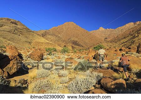 "Father and son hiking in a canyon near Brandberg mountain, Damaraland, Namibia, Africa" View Large Photo Image Stock Image - "Father and son hiking in a canyon near Brandberg mountain, Damaraland, Namibia, Africa". Fotosearch