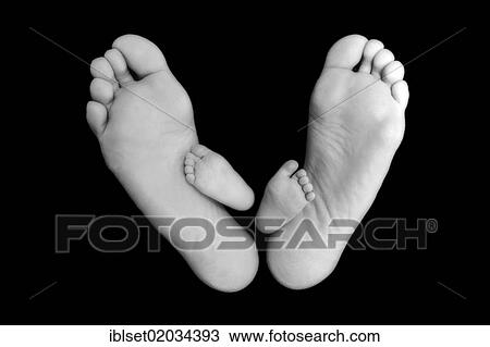 Feet of a baby between the feet of the father View Large Photo Image Stock Image - Feet of a baby between the feet of the father. Fotosearch