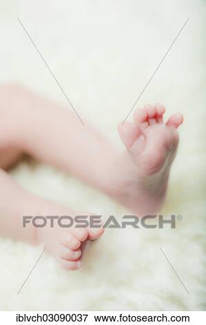 "Feet of a baby on a sheepskin rug, Kolsass, Tyrolean Unterland, Tyrol, Austria, Europe" View Large Photo Image Stock Photo - "Feet of a baby on a sheepskin rug, Kolsass, Tyrolean Unterland, Tyrol, Austria, Europe". Fotosearch