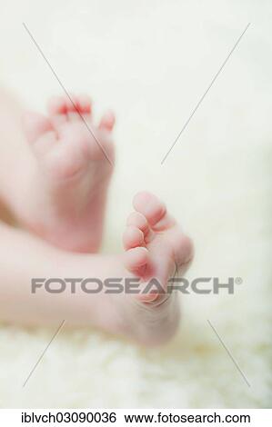 "Feet of a baby on a sheepskin rug, Kolsass, Tyrolean Unterland, Tyrol, Austria, Europe" View Large Photo Image Stock Photograph - "Feet of a baby on a sheepskin rug, Kolsass, Tyrolean Unterland, Tyrol, Austria, Europe". Fotosearch