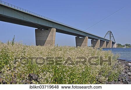 "Fehmarn Sound Bridge, Grossenbrode, Schleswig-Holstein, Germany, Europe" View Large Photo Image Stock Photo - "Fehmarn Sound Bridge, Grossenbrode, Schleswig-Holstein, Germany, Europe". Fotosearch