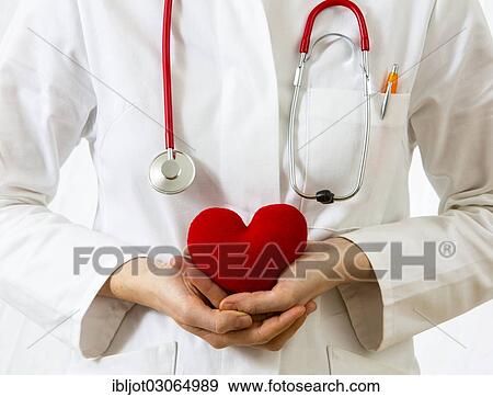 "Female doctor holding a red heart in her hands, symbolic image for a heart attack" View Large Photo Image Stock Photo - "Female doctor holding a red heart in her hands, symbolic image for a heart attack". Fotosearch