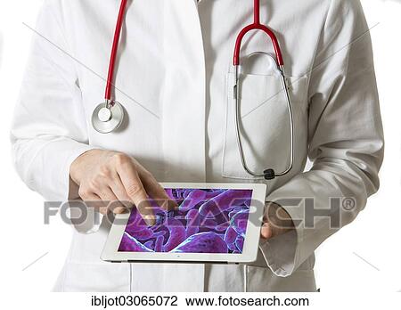 "Female doctor holding a tablet computer, iPad, with a macro shot of bacteria" View Large Photo Image Stock Image - "Female doctor holding a tablet computer, iPad, with a macro shot of bacteria". Fotosearch