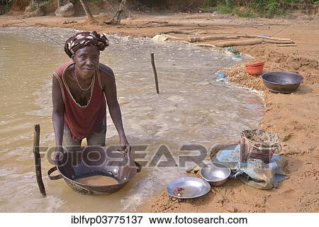 "Female gold panner near Koidu, Kono District, Eastern Province Region, Sierra Leone, Africa" View Large Photo Image Stock Photo - "Female gold panner near Koidu, Kono District, Eastern Province Region, Sierra Leone, Africa". Fotosearch