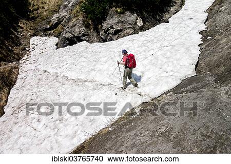"Female hiker crossing a snowfield on the Wilder-Kaiser-Steig hiking trail, Kaisergebirge, near Ellmau, Tyrol, Austria, Europe" View Large Photo Image Stock Image - "Female hiker crossing a snowfield on the Wilder-Kaiser-Steig hiking trail, Kaisergebirge, near Ellmau, Tyrol, Austria, Europe". Fotosearch