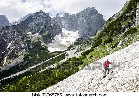 "Female hiker crossing a snowfield on the Wilder-Kaiser-Steig hiking trail, Kaisergebirge, near Ellmau, Tyrol, Austria, Europe" View Large Photo Image Stock Photograph - "Female hiker crossing a snowfield on the Wilder-Kaiser-Steig hiking trail, Kaisergebirge, near Ellmau, Tyrol, Austria, Europe". Fotosearch