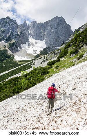 "Female hiker crossing a snowfield on the Wilder-Kaiser-Steig hiking trail, Kaisergebirge, near Ellmau, Tyrol, Austria, Europe" View Large Photo Image Stock Photography - "Female hiker crossing a snowfield on the Wilder-Kaiser-Steig hiking trail, Kaisergebirge, near Ellmau, Tyrol, Austria, Europe". Fotosearch