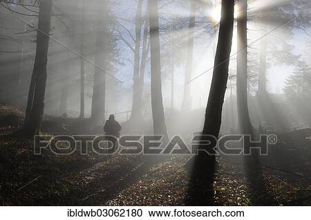 "Female hiker hiking in foggy forest at the Saloberalpe, Saloberalm, Zirmgrat, Allgau, Swabia, Bavaria, Germany, Europe" View Large Photo Image Stock Image - "Female hiker hiking in foggy forest at the Saloberalpe, Saloberalm, Zirmgrat, Allgau, Swabia, Bavaria, Germany, Europe". Fotosearch