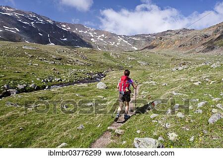 "Female hiker in the Ulten Valley or Val d'Ultimo, summit of Mt Gleckspitz at back, South Tyrol, Trentino-Alto Adige, Italy, Europe" View Large Photo Image Stock Photo - "Female hiker in the Ulten Valley or Val d'Ultimo, summit of Mt Gleckspitz at back, South Tyrol, Trentino-Alto Adige, Italy, Europe". Fotosearch
