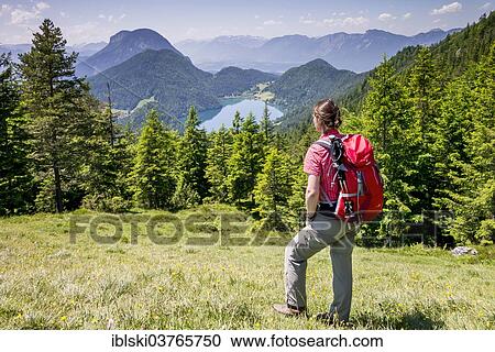 "Female hiker observing the view from the Wilder-Kaiser-Steig hiking trail towards Hintersteiner Lake, in the Wilder Kaiser Mountains, Kaisergebirge, near Ellmau, Tyrol, Austria, Europe" View Large Photo Image Stock Image - "Female hiker observing the view from the Wilder-Kaiser-Steig hiking trail towards Hintersteiner Lake, in the Wilder Kaiser Mountains, Kaisergebirge, near Ellmau, Tyrol, Austria, Europe". Fotosearch