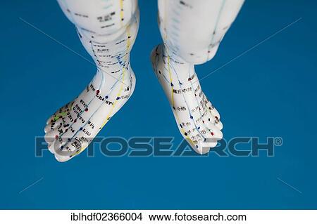 "Female model figure with markings and Chinese characters, acupuncture points on the meridians, traditional Chinese medicine, TCM" View Large Photo Image Picture - "Female model figure with markings and Chinese characters, acupuncture points on the meridians, traditional Chinese medicine, TCM". Fotosearch