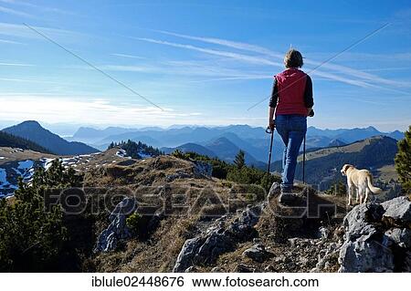 "Female mountain hiker with Labrador, Aschau, Klausberg, Chiemgau Alps, Bavaria, Germany, Europe" View Large Photo Image Stock Photograph - "Female mountain hiker with Labrador, Aschau, Klausberg, Chiemgau Alps, Bavaria, Germany, Europe". Fotosearch