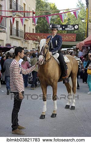 "Female rider on Andalusian horse at the annual All Saints Market in Cocentaina, Alicante province, Spain, Europe" View Large Photo Image Stock Image - "Female rider on Andalusian horse at the annual All Saints Market in Cocentaina, Alicante province, Spain, Europe". Fotosearch