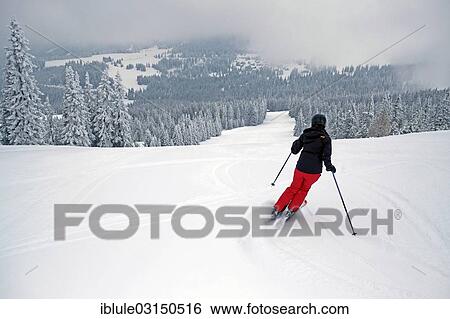 "Female skier on a slope, Sankt Gertraud, Weinebene, Carinthia, Austria, Europe" View Large Photo Image Stock Photograph - "Female skier on a slope, Sankt Gertraud, Weinebene, Carinthia, Austria, Europe". Fotosearch