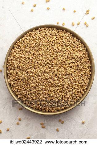 Stock Image - Fenugreek seeds. Fotosearch