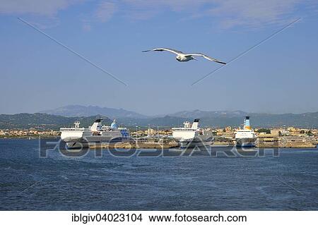 "Ferries at the pier in Ferry, Olbia, Province of Olbia-Tempio, Sardinia, Italy, Europe" View Large Photo Image Picture - "Ferries at the pier in Ferry, Olbia, Province of Olbia-Tempio, Sardinia, Italy, Europe". Fotosearch