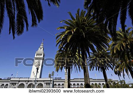 "Ferry Building, Ferry Plaza, The Embarcadero, San Francisco, California, United States of America, USA, PublicGround" View Large Photo Image Stock Image - "Ferry Building, Ferry Plaza, The Embarcadero, San Francisco, California, United States of America, USA, PublicGround". Fotosearch