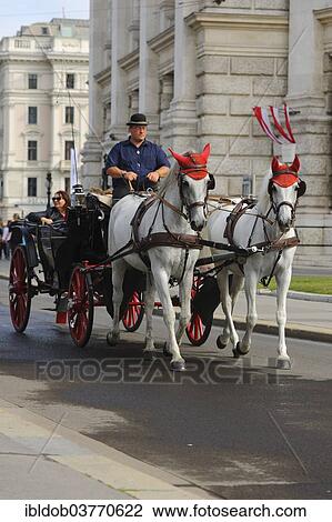 "Fiaker, horse-drawn carriage at the Burgtheater, Vienna, Austria, Europe" View Large Photo Image Stock Image - "Fiaker, horse-drawn carriage at the Burgtheater, Vienna, Austria, Europe". Fotosearch