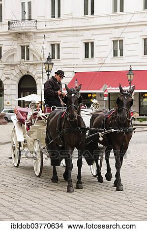 "Fiaker, horse-drawn carriage in front of the Hofburg, Vienna, Austria, Europe" View Large Photo Image Picture - "Fiaker, horse-drawn carriage in front of the Hofburg, Vienna, Austria, Europe". Fotosearch