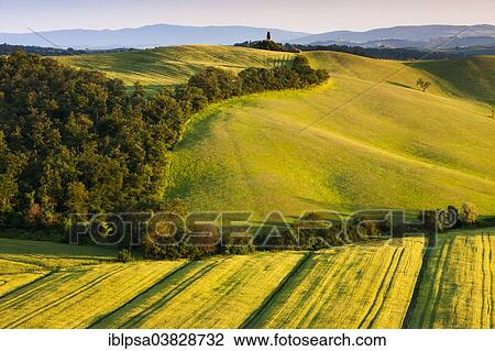 "Fields and hills of Crete Senesi, Tuscany, Italy, Europe" View Large Photo Image Stock Image - "Fields and hills of Crete Senesi, Tuscany, Italy, Europe". Fotosearch
