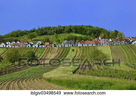 "Fields and vineyards along the Kellergasse cellar route on Galgenberg hill, Galgenberg, near Wildendurnbach, Weinviertel, Lower Austria, Austria, Europe" View Large Photo Image Stock Photo - "Fields and vineyards along the Kellergasse cellar route on Galgenberg hill, Galgenberg, near Wildendurnbach, Weinviertel, Lower Austria, Austria, Europe". Fotosearch