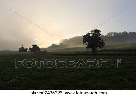 "Fields in the morning mist, Hinterbach, Thurgau, Switzerland, Europe" View Large Photo Image Stock Photograph - "Fields in the morning mist, Hinterbach, Thurgau, Switzerland, Europe". Fotosearch